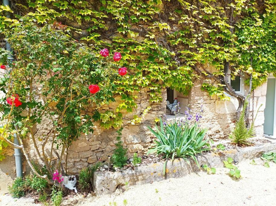 Gite De Charme - 3 Chambres, 5 Lits - De 4 A 7 Personnes Avanton Εξωτερικό φωτογραφία